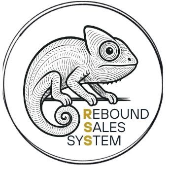 Rebound Sales System Logo